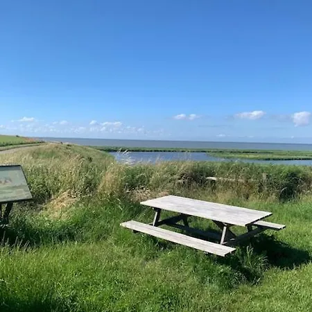 Op Zestien דירה *