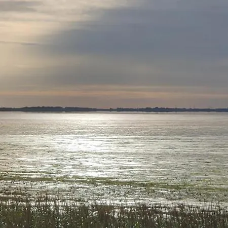 Op Zestien Hippolytushoef